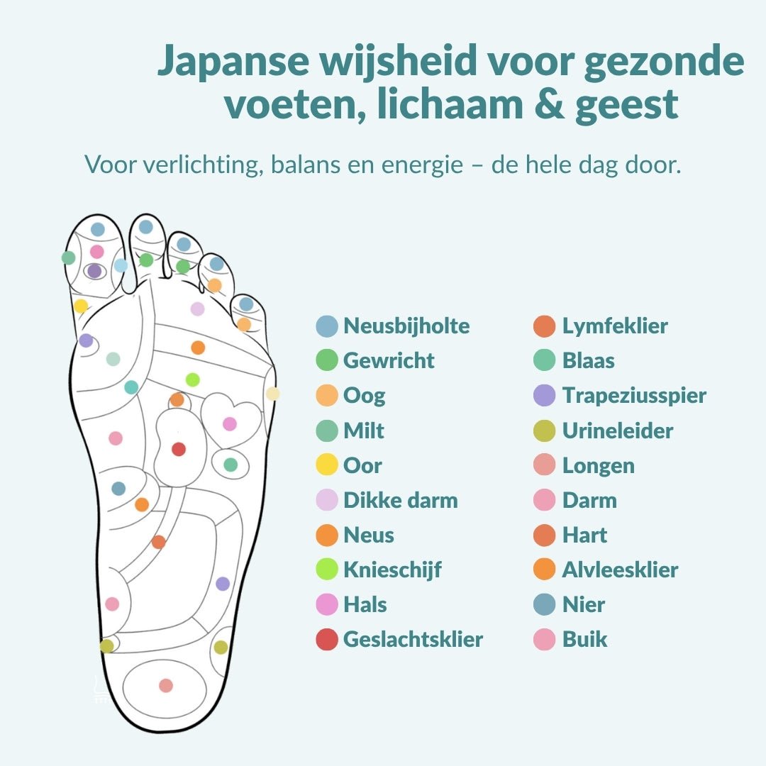 Vordela™ Magnetische Inlegzolen