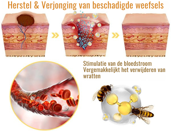 Vordela™ 7-daagse multi-effect alles-in-één huidverzorgingscrème (👨‍⚕️Aanbevolen door de AAD)